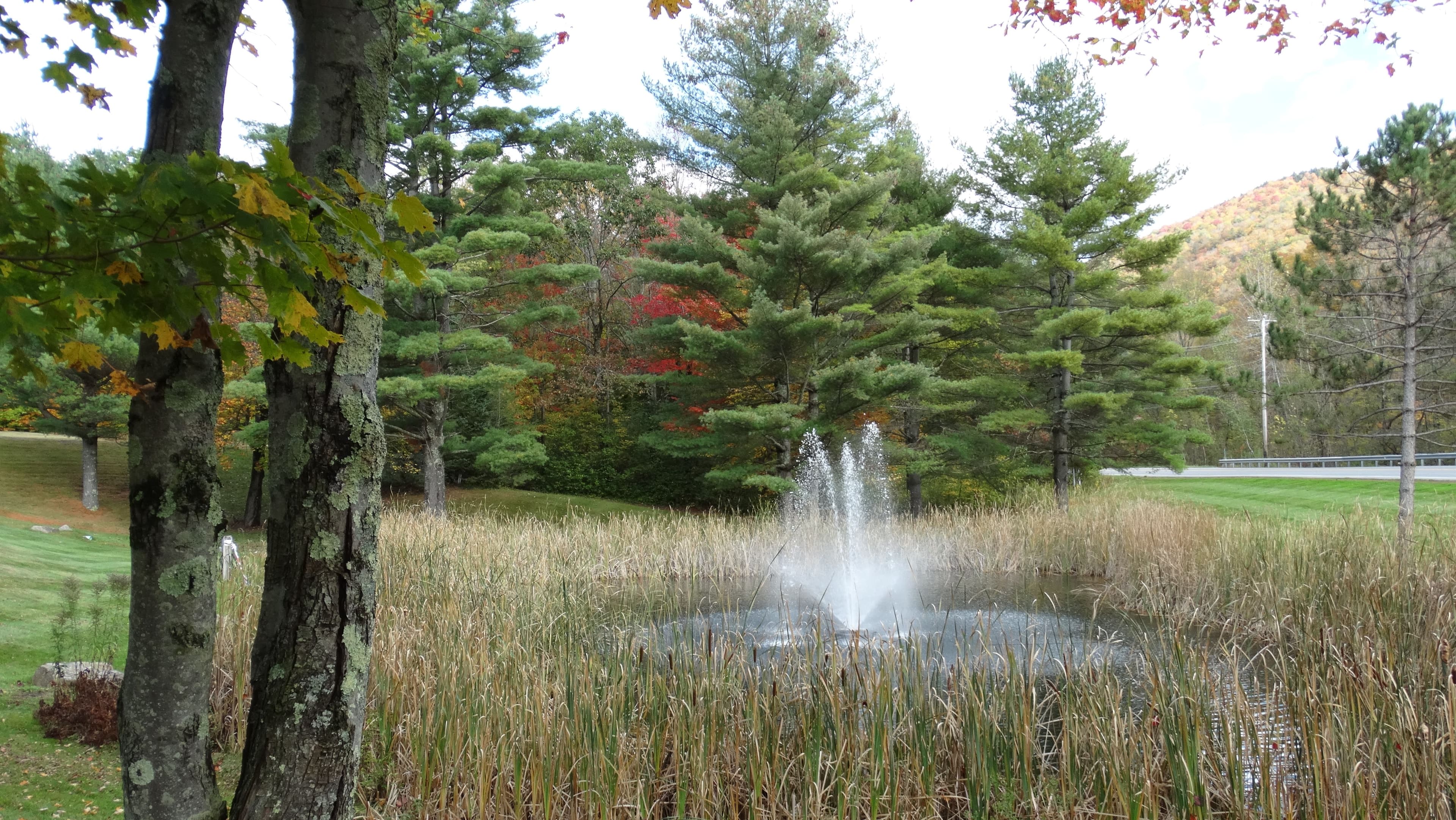 Fountain